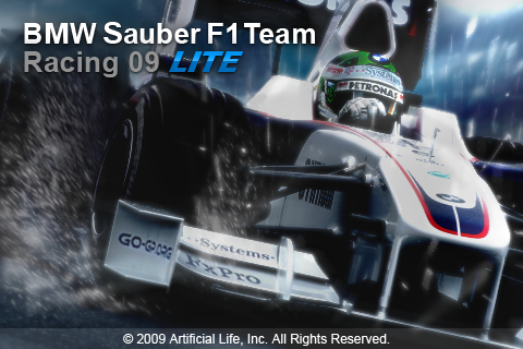 BMW Sauber F1 Team Racing 09 Lite free app screenshot 3