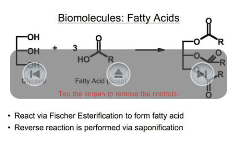 Organic Chemistry Essentials free app screenshot 3