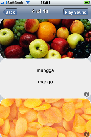 Learn Free Indonesian Vocabulary - Gengo Audio Flashcards free app screenshot 3