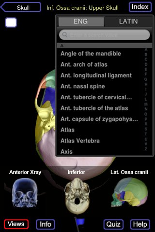 Skeletal System (Head and Neck) free app screenshot 4