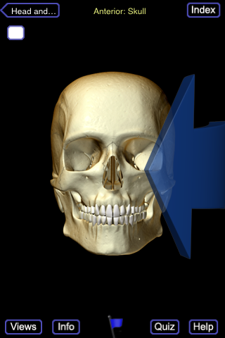 Skeletal System (Head and Neck) free app screenshot 2