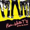 All That We Needed, Plain White T's