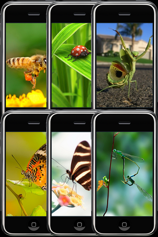 Animal Wallpapers Free free app screenshot 2