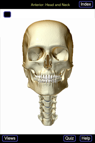 Skeletal System (Head and Neck) free app screenshot 1