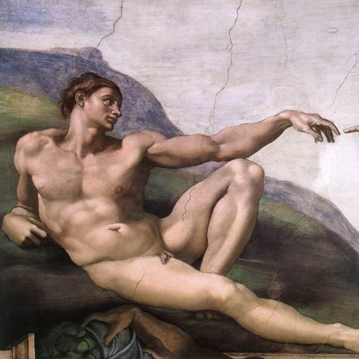 Michelangelo HD