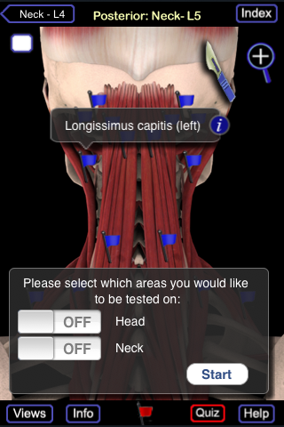 Muscle System (Head and Neck) free app screenshot 4