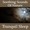 Soothing Sounds of Nature: Tranquil Sleep, Dr. Sound Effects