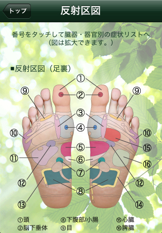 ss2