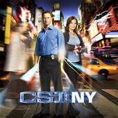 CSI: NY, Season 8 artwork