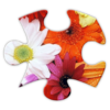 Jigsaws Galore Free for mac Jigsaws Galore Free for mac