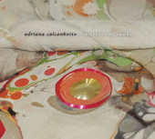 O Micróbio do Samba, Adriana Calcanhotto