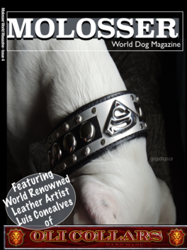 Molossser World Alliance Magazine  Big Dogs Ancient breeds LOGO-APP點子