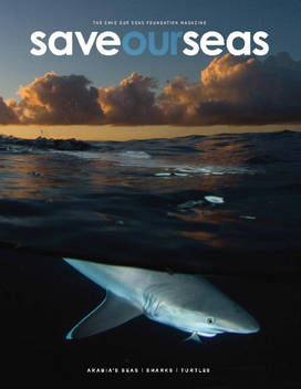 Save Our Seas LOGO-APP點子