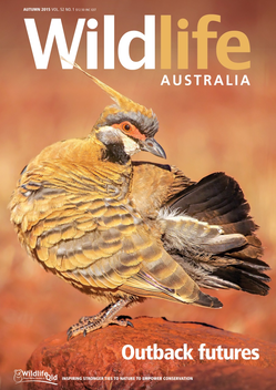 Wildlife Australia Magazine LOGO-APP點子