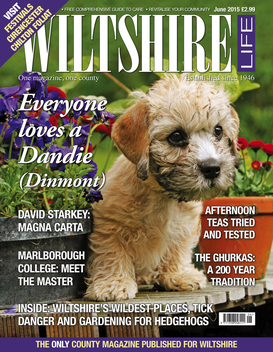 Wiltshire Life LOGO-APP點子