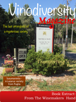 Vinomag - Vinodiversity Magazine for adventurous wine lovers in Australia and beyond LOGO-APP點子