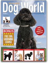 Sharda Bakers Dog World Magazine - Everything you need to know about the amazing world of dogs. LOGO-APP點子