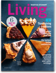 Martha Stewart Living Magazine for iPad