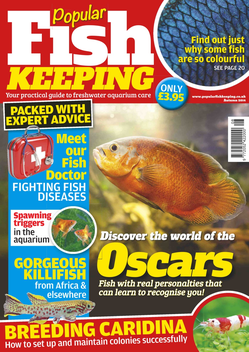 Popular Fish Keeping – The Home Aquarium Magazine LOGO-APP點子