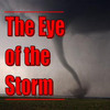 The Eye of the Storm - A gay pod book