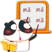 Study Pinyin