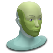 3D Dermatomes