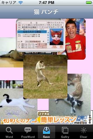 猫ラブ!