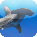 Sea TV mobile app icon