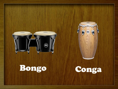 Bongo Conga HD