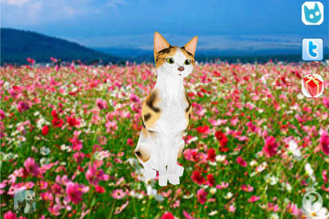 Japanise Bobtail Petting Cat 3D Lite screenshot 2