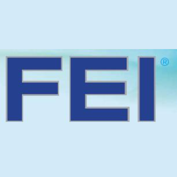 FEI - Front End of Innovation Conference - Boston, Europe, IIR LOGO-APP點子