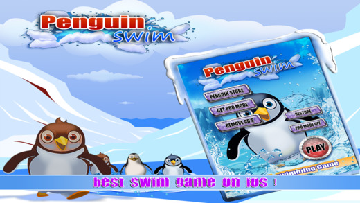 Penguin Fun Surf Swim FREE