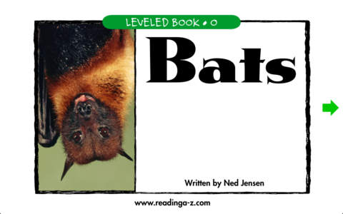 Bats - LAZ Reader [Level O–second grade]