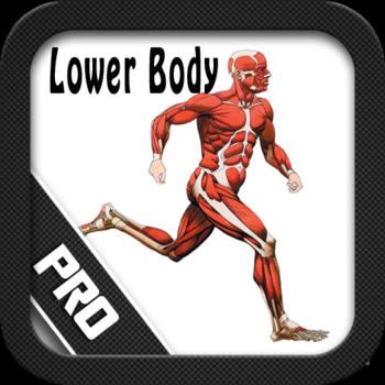 Lower Body Pro 醫療 App LOGO-APP開箱王