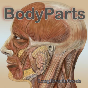 BodyParts - Human Body Part Names and Flash Cards 教育 App LOGO-APP開箱王