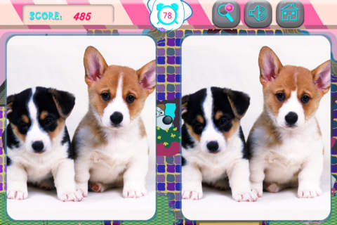 Find the Differences Cute Dogs -Funny Cute Furry Puppy Adventures Edition screenshot 3