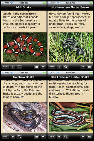 Snakes Bible screenshot 2