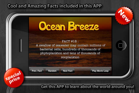 Ocean and Sea Breeze screenshot 2
