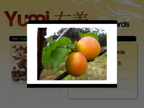 Yumi Fruits - English, Japanese, Traditional-chinese flashcard screenshot 2