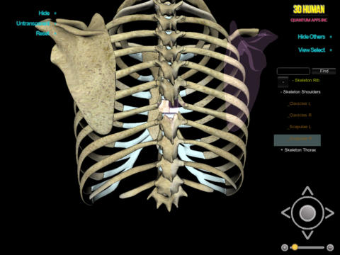 3D Human Skeleton Rip_HD screenshot 3