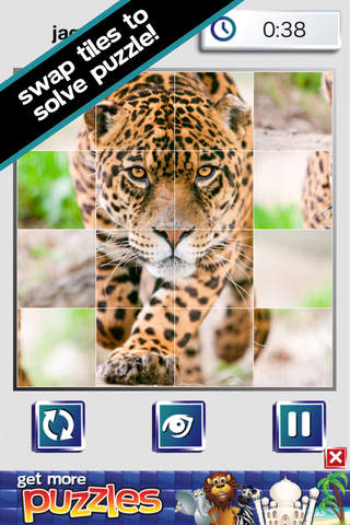 African Safari Puzzle - Wildlife FREE GAME screenshot 4