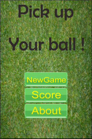 Pick Up Your Ball screenshot 2
