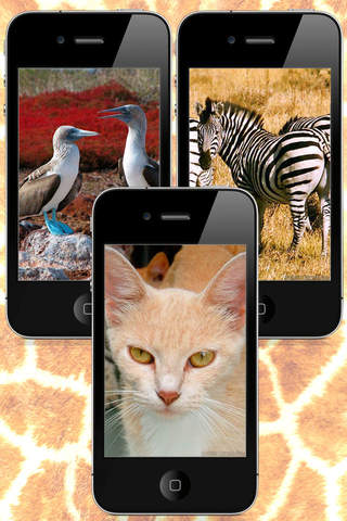 Animals Around The World Wallpapers screenshot 2