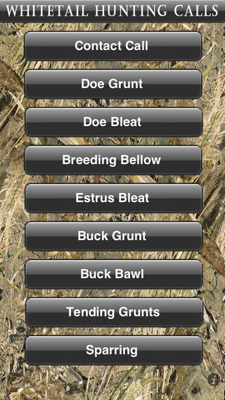 iPhone Screenshot 1