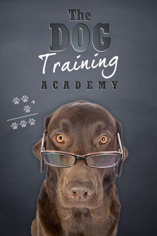 Dog Training Academy
