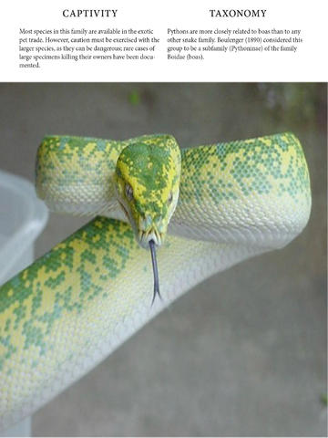 免費下載書籍APP|Snakes Magazine app開箱文|APP開箱王