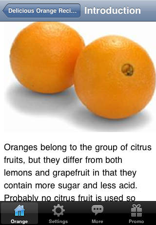 Delicious Orange Recipes screenshot 2