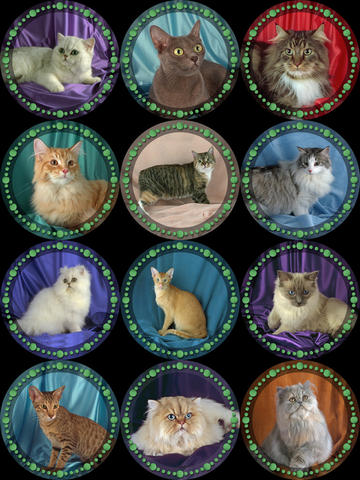 Cat O'Clock (enhanced iPad version) screenshot 3