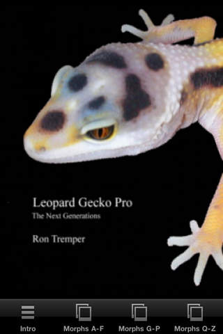 Leopard Gecko Pro