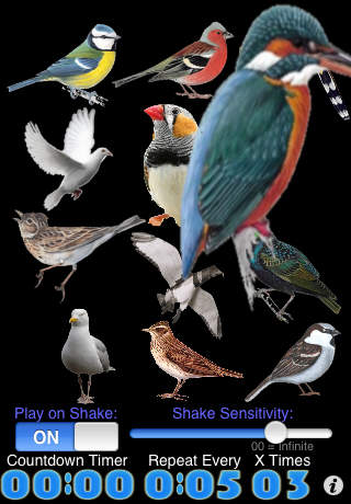 For The Birds - A Bird Caller! screenshot 3